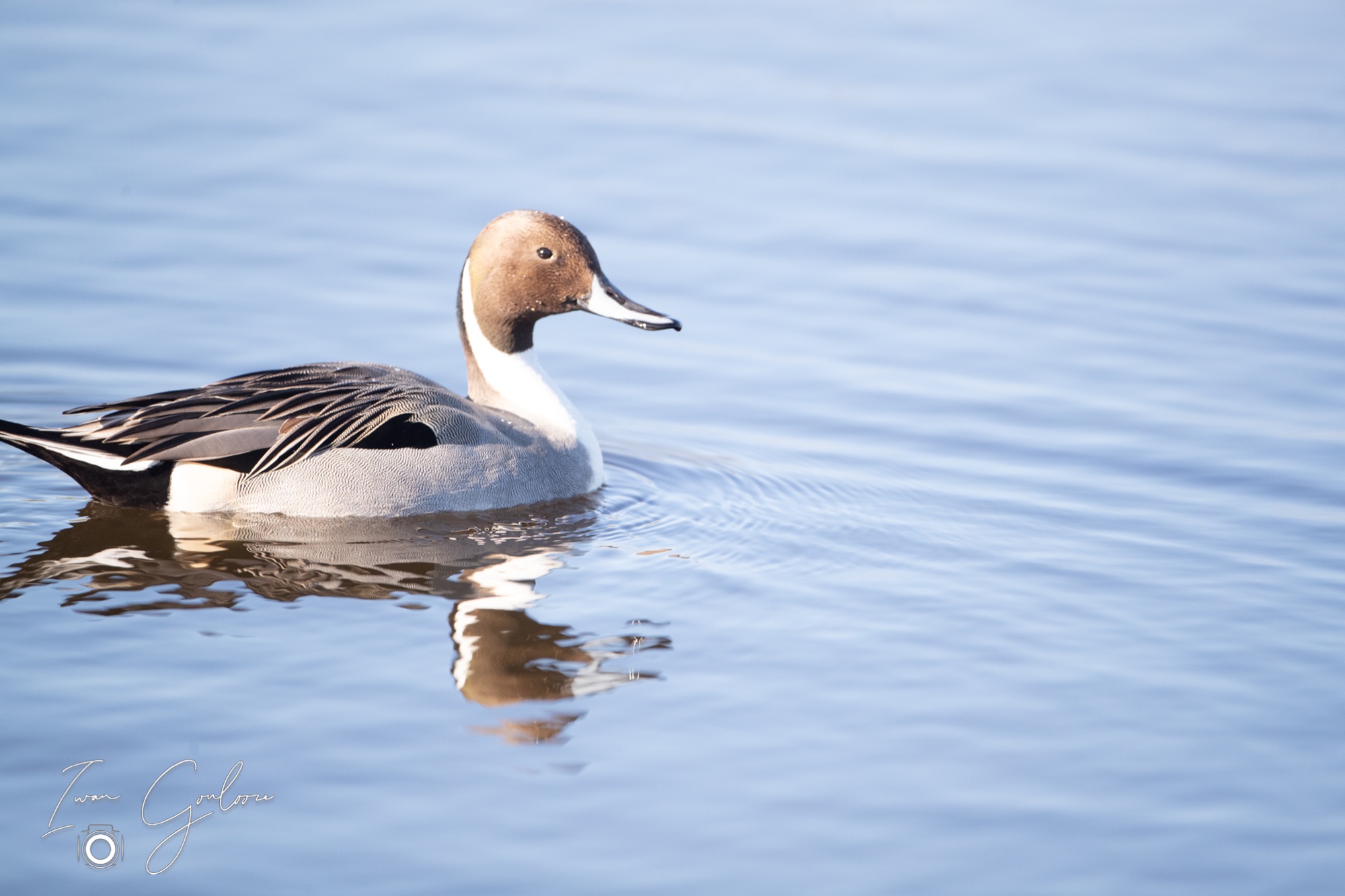 04 maart 2022 164808 1DX44587